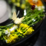 セララバアド - 春の高原の蝶々