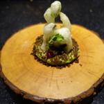 セララバアド - 春の大地