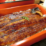 駿河屋 - 『大井川共水鰻二尾筏重』5,700円