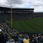 阪神甲子園球場 - 