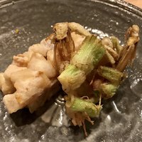 荒木町たつや - 
