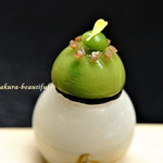 星のや東京ダイニング - 