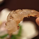 ちょっとよっ亭 - 車エビ