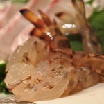 ちょっとよっ亭 - 車エビ