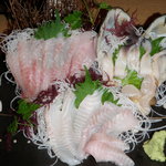 Sashimi Izakaya Nakazen - ソイとカレイとホッキの刺身盛