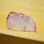 こま田 - 愛媛　イサキ