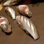 鮨　樋口 - 小肌・鰯