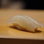 こま田 - 伊勢湾　アオリイカ