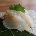白金魚食堂 - ヒラメ