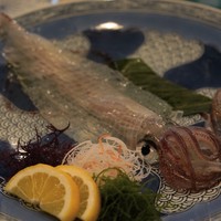 河太郎 中洲本店 - 