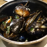 The Grand  by Concerto - 