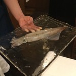 ウシマル - 活イカも踊ってくれた！