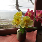 ティーショップ夕日 - 季節の花が♪