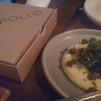 THE APOLLO - 