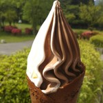 レインフォレストカフェ - 