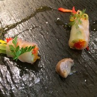 インカメラ コン テラッツァ - 