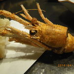 庵JUJU - クモエビ（オオコシオリエビ）