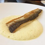 サラマンジェ ド ヨシノ - 佐島産カマスのポアレ＆サウランの泡のソース