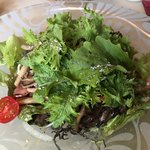 サント ウベルトゥス - 