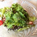 サント ウベルトゥス - 