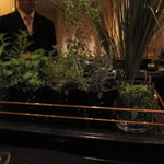 ガストロノミー ジョエル・ロブション - 生ハーブのワゴンは珍しいですね