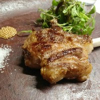 TACUBO - オーストラリア羊