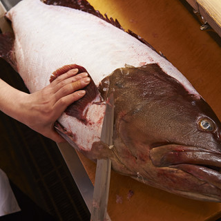 長崎五島列島直送クエ(10月～3月)