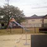 シュシュサクラティエ - お店のシンボルツリー立派な桜。