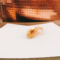 天白 - 