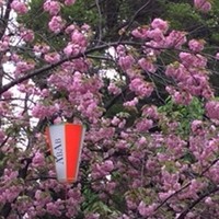 韻松亭 - 