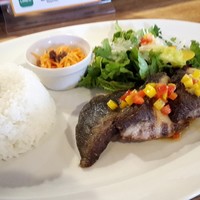 京都イタリアン 欧食屋 Kappa - 
