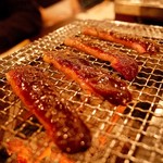 ヒロ ナゴヤ - ​ 岐阜県産 天然真鴨のロース