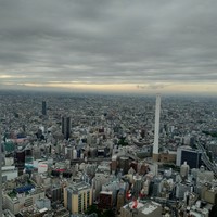 天空の庭　星のなる木 - 