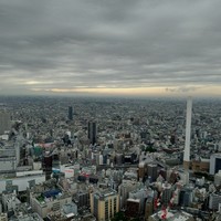 天空の庭　星のなる木 - 