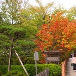 麩善 - 紅葉が美しい高野山