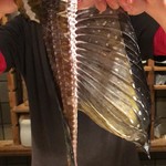 刺身BAR 河岸頭 - 