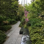 ル・シュクレクール - お店の周りは緑でイッパイ！