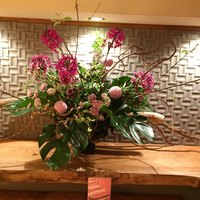 Salon du Kuma3 北新地 - 