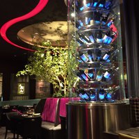 御膳房 銀座店 - 