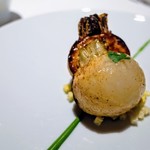 レフェルヴェソンス - 定点