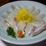 小河豚と鯛の刺身