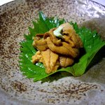 洋 - 洋雲丹の刺身