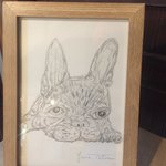 隠れ家Cafe ことのはじまり - 可愛い犬