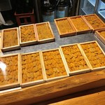 魚虎 - 海胆いろいろ