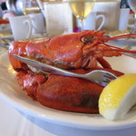 Star of Honolulu - ロブスター(2018年4月)