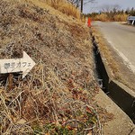 鬱蒼カフェ - 近くの道沿いには小さな案内看板があります