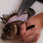 浜料理 侍 - 本おこぜ