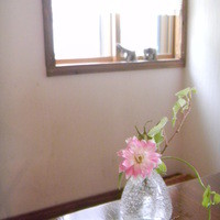 KOST - 