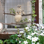 ママも本物かと思った！