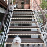 海辺の途中 - ライトが点くお洒落な階段